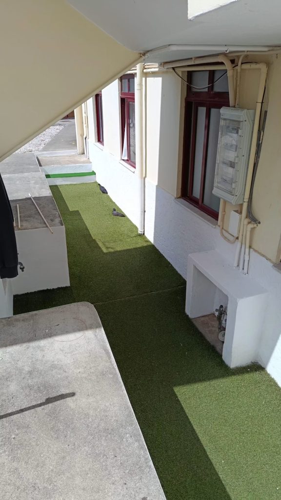 Rua de Nove de Abril 348, C7 - Exterior